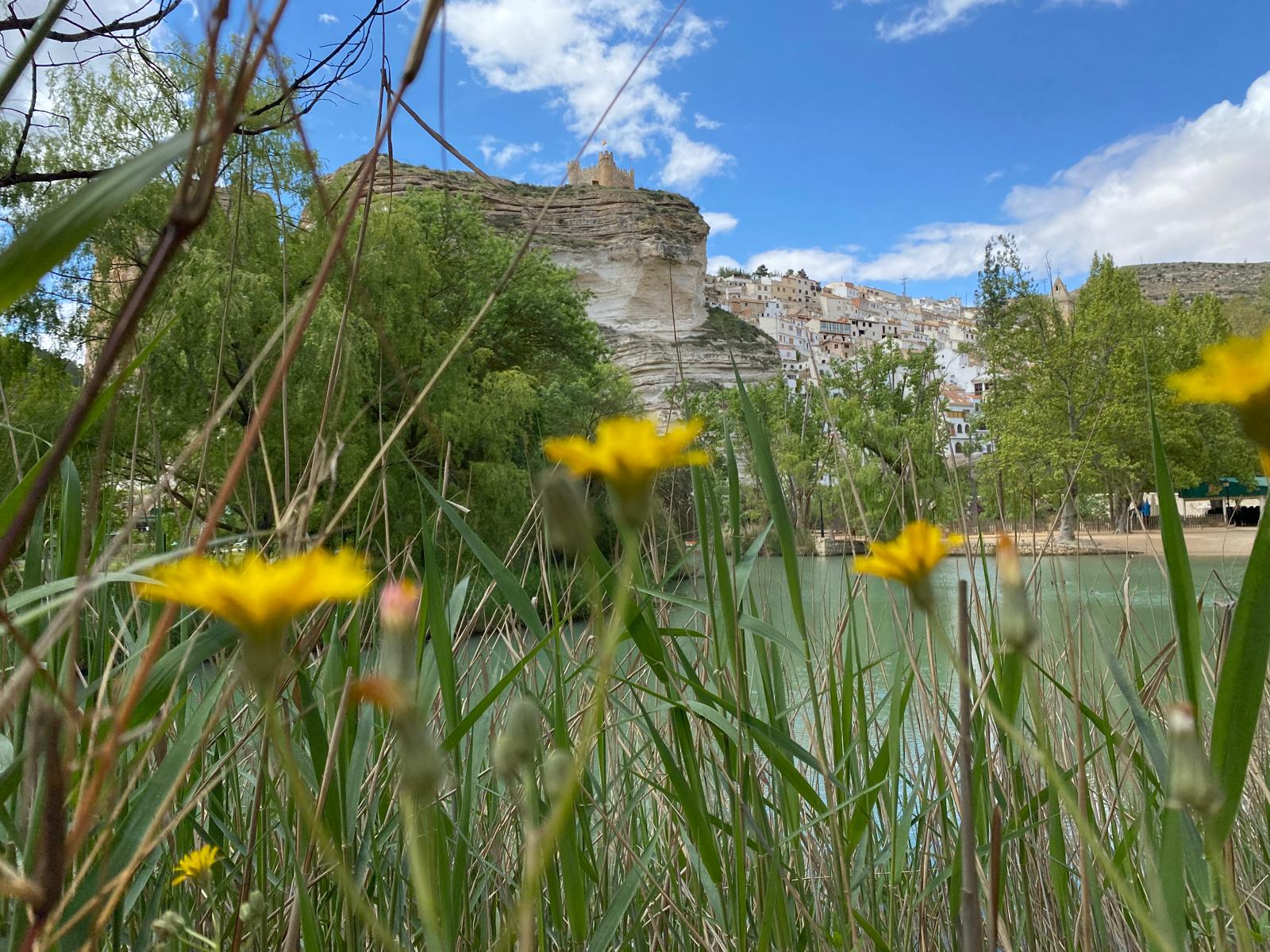 Flora, vegetación y entorno de Alcalá del Júcar